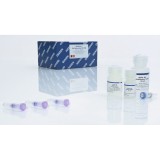 Набор MinElute Gel Extraction Kit для выделения ДНК из геля(50 реакций)