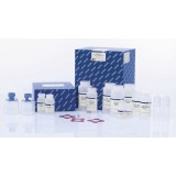 Набор QIAGEN EndoFree Plasmid Maxi Kit для выделения плазмидной ДНК без эндотоксинов(10 реакций)