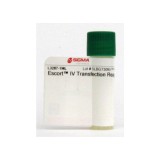 Реагент для трансфекций ДНК Escort™ IV(1 мл)
