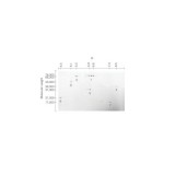 Белковый маркер 2-D SDS-PAGE для изоэлектрофокусирования и 2-D электрофореза, 17.5–76 кДа, pI 4.5–8.5(500 мкл)