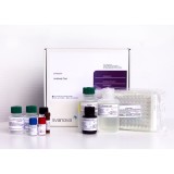 Набор реагентов SVANOVIR® PRV gE-Ab для дифференцировки антител к вакцинным и полевым штаммам вируса Ауески у свиней методом ИФА (цельные планшеты)(10 планшетов)