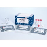 Набор для исследования Y-хромосомы Investigator Argus Y-28 QS Kit(100 реакций)