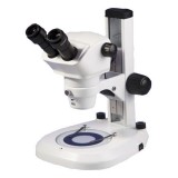 Оптический стереомикроскоп Steddy Broad | 7500.9000M